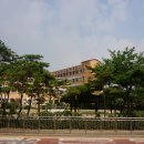 서울선사초등학교 이미지