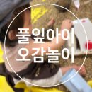 풀잎마을 | 아빠랑 10개월 아기 문화센터 수업 풀잎아이 오감놀이 후기