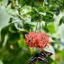 교학검도관 이미지