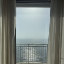 정든밤속초점 | 5월 속초여행 (2) ••2박3일 맛집/카페/숙소 추천 (정든식당, 흰다정, 치커리생구이, 도리스파티세리...