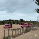 베트남 나트랑 혼자 판랑 조인 사막투어 흐린 날 투어 후기