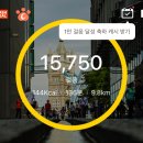 바다에빠진조개 이미지