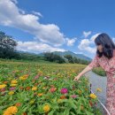 가조힐링랜드 이미지