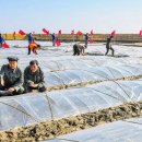 은천농장1 이미지