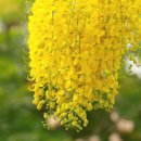 햇살좋은창 이미지