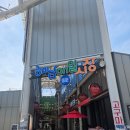 해남매일시장 | 🐾 해남 여행코스 필수! 해남 매일시장 방문기 ✨