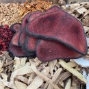 경희형제한의원 이미지