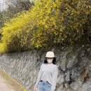 디자인스튜디오니드