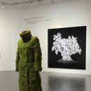 광산문화예술회관 | [대구 전시]_대구 사진 비엔날레, 《생명의 울림》_대구문화예술회관_후기