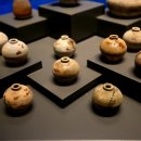 신성1호 이미지