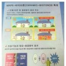 이푸른탄성