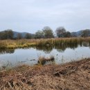 열린행정사 이미지