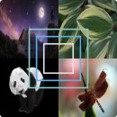 크린토피아남청주지사 이미지