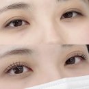 나빌레라 | 인계동 속눈썹 잘하는 곳 추천 _ 나빌레라 속눈썹펌 후기