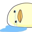 하나통운 이미지