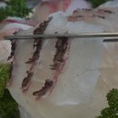 길수횟집 이미지