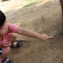 해람어린이집 이미지