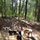황토대중탕 Daum카페