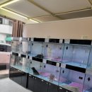 워킹퍼피 이미지