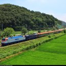 유로무도장 이미지