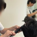 살롱드르브아