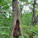 장덕고개 이미지