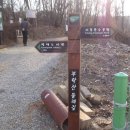 경기도립도서관 사거리 - 우 이미지