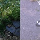 느리민박 이미지