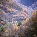 명진농원 - 의왕시 고고리길 86 | 명진농원
