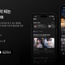 와이즈인터랙티브 이미지