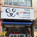 코코앤몽 | 인천 서구 청라동 '애견유치원' , 강릉시 교동 '코코앤몽' 시공 후기