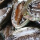 함양흑염소 이미지