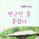 만근인 줄 몰랐다 / 김소해 시조집 (전자책) | 이미지