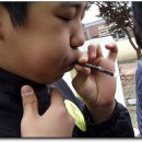 내성초등학교 이미지