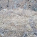 정관농장 이미지