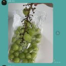 이샤인 | 특특품 샤인머스켓(물건 정말 좋아요)