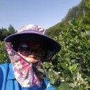 구학산농장 이미지