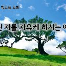 2월 18일(화) 억눌린 자를 자유케 하시는 예수님! 이미지