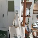 카페로운 | 일산 밤리단길 카페 추천 카피로우 내돈내산 후기