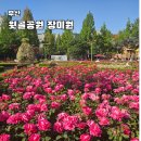 정관노인복지관 | 부산 기장 가볼만한곳 윗골공원 장미 실시간 개화 상황 주차장 위치
