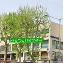 미술심리상담사 2급 이미지