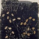 신사임당 이미지