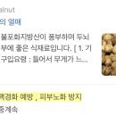 코코호도안산
