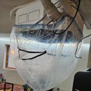 이끌림케어 이미지