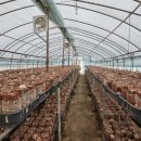 산두른마을 이미지