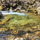 무릉도원면-24 이미지