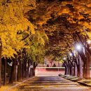 오현로20길 이미지