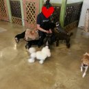 헤이독청주 이미지