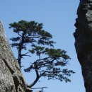 지리산천상화원 이미지