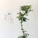 송정로L 이미지